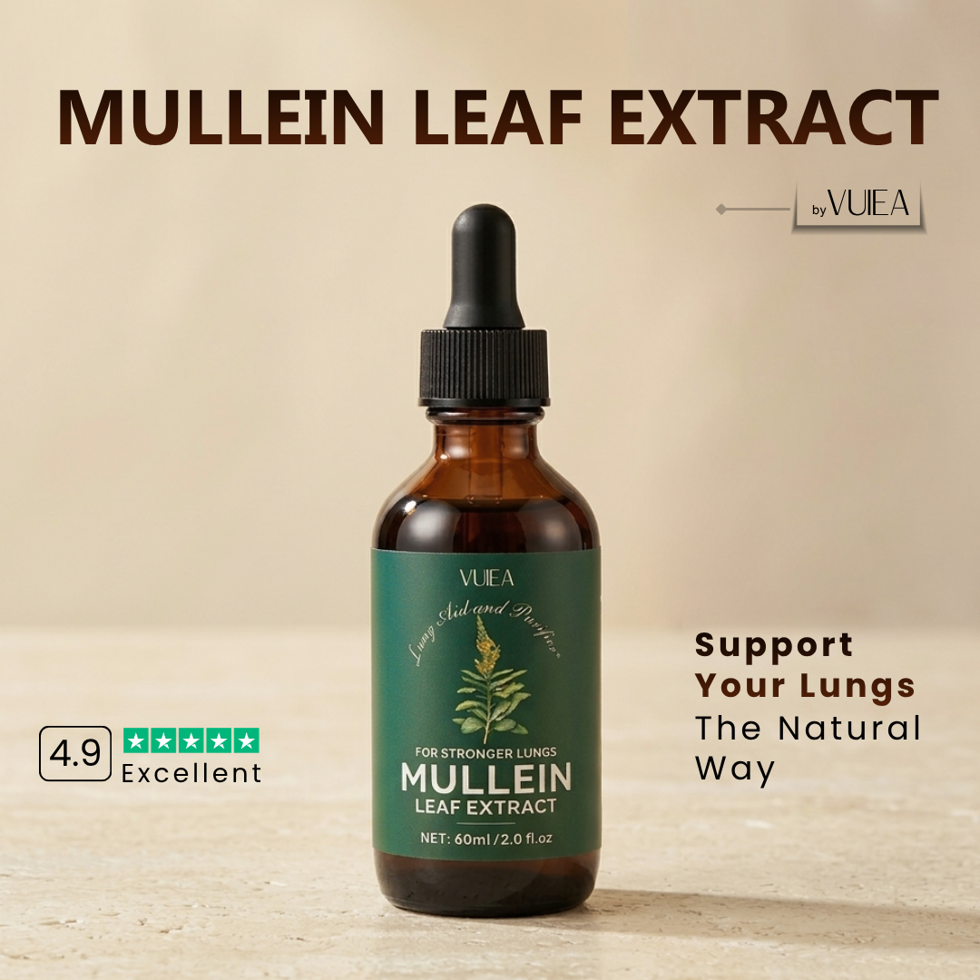 Mullein Leaf Extract