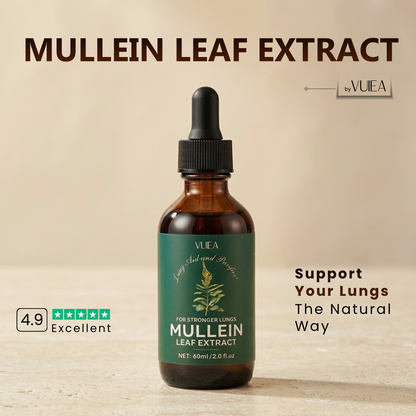 Mullein Leaf Extract