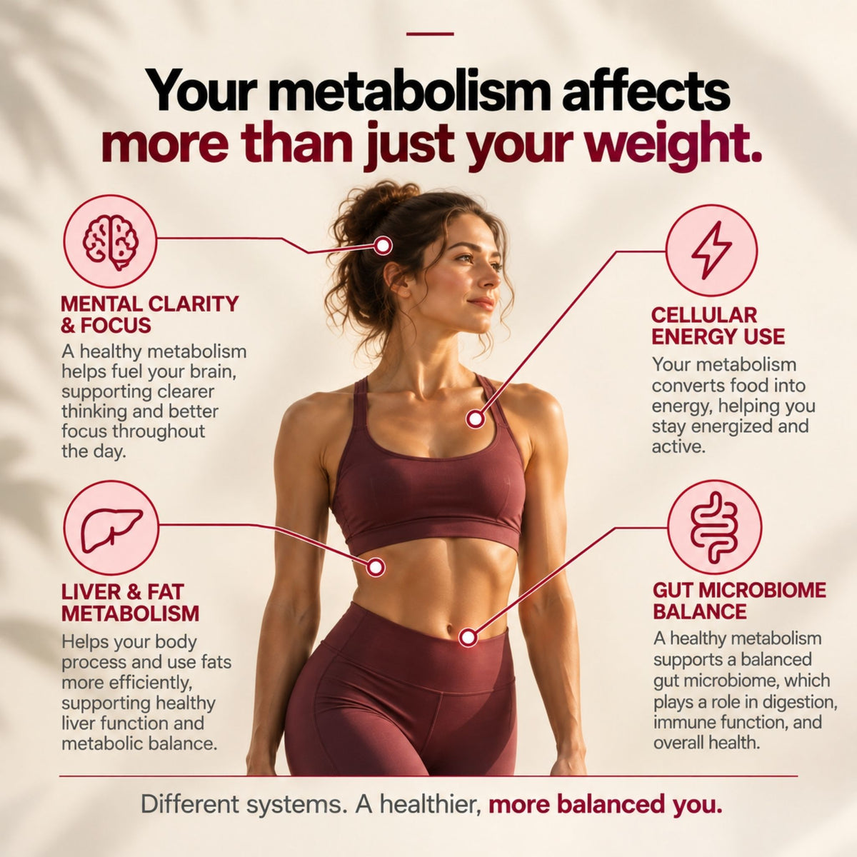 Berberine Metabolic Balance