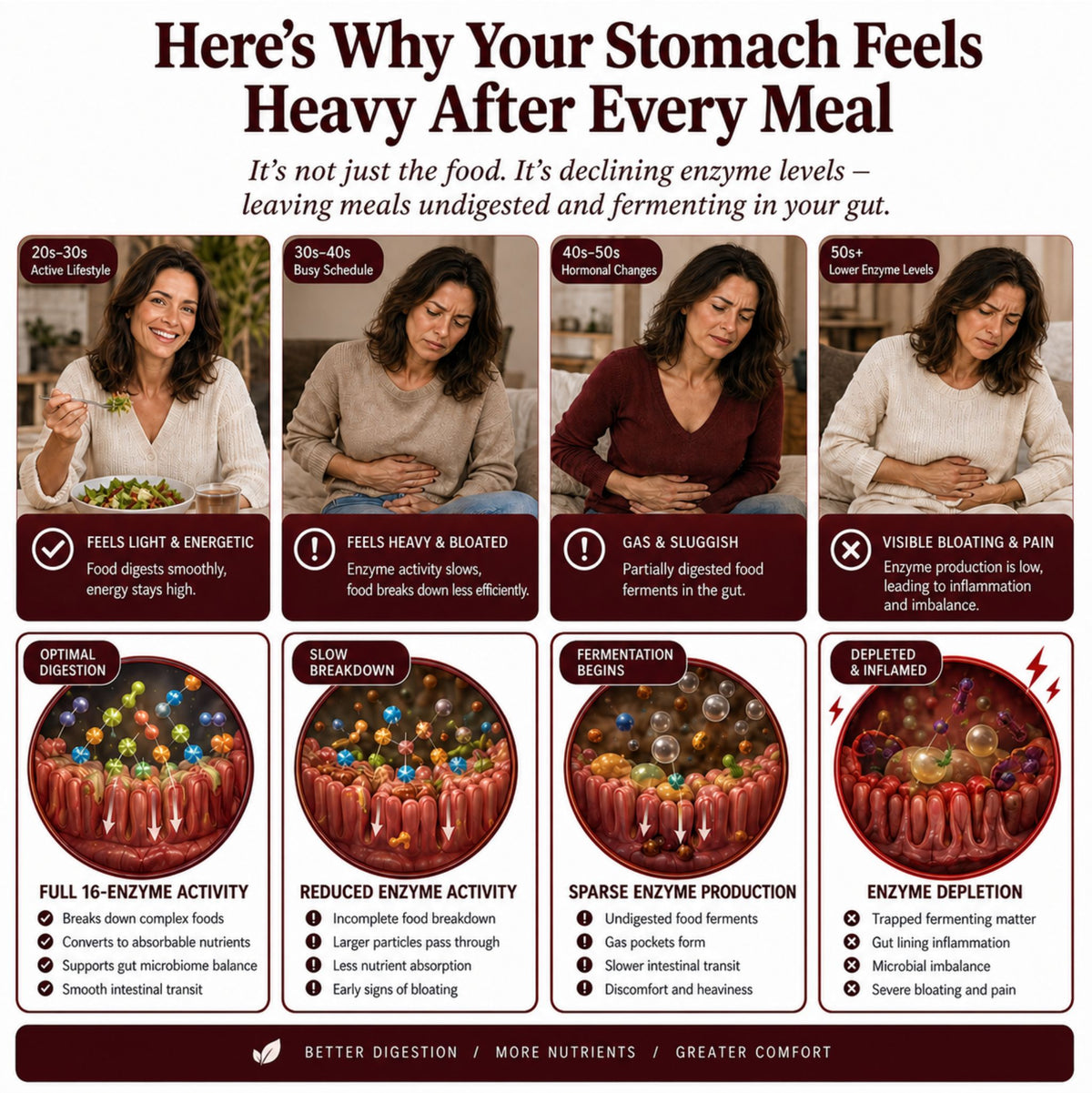 Digestive Enzymes