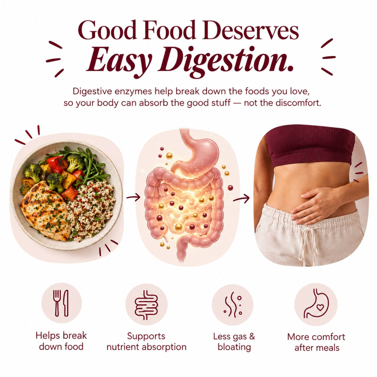 Digestive Enzymes