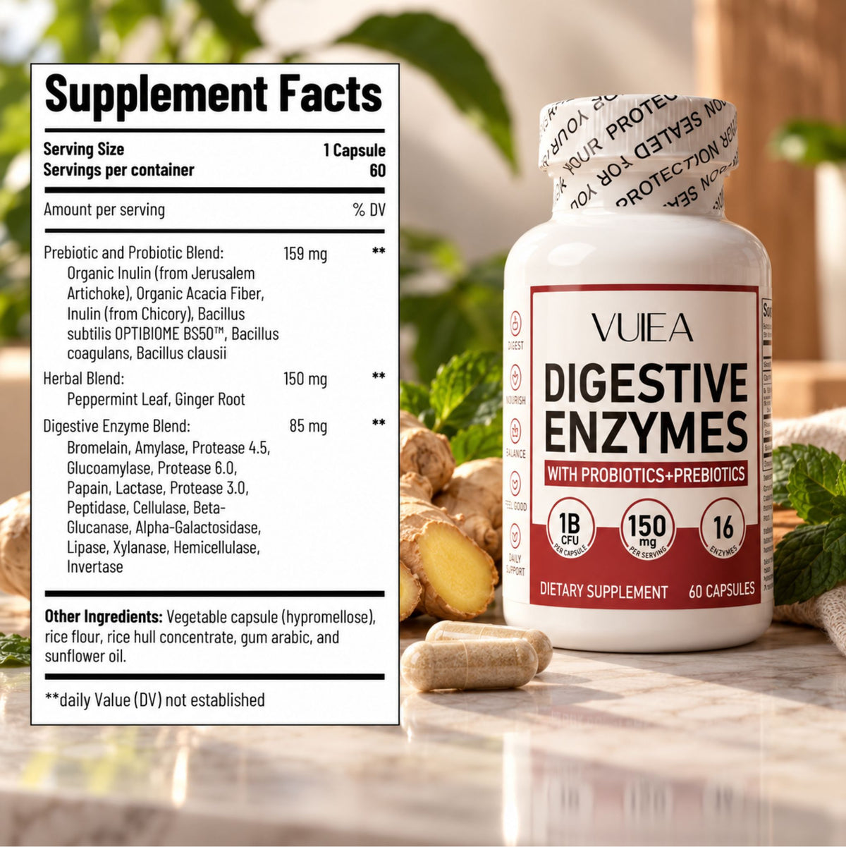 Digestive Enzymes