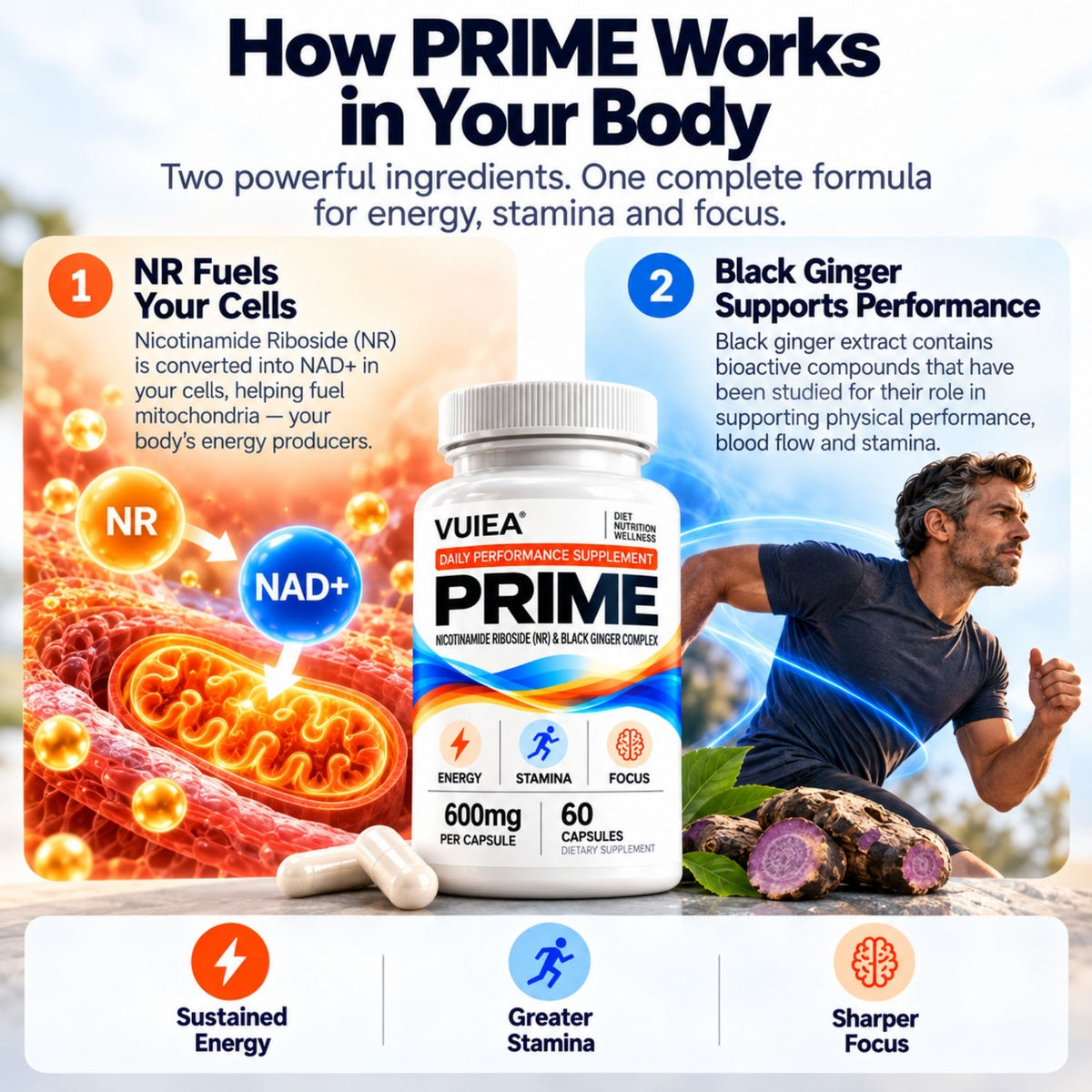 Vuiea PRIME: Nicotinamide Riboside (NR) & Black Ginger Complex