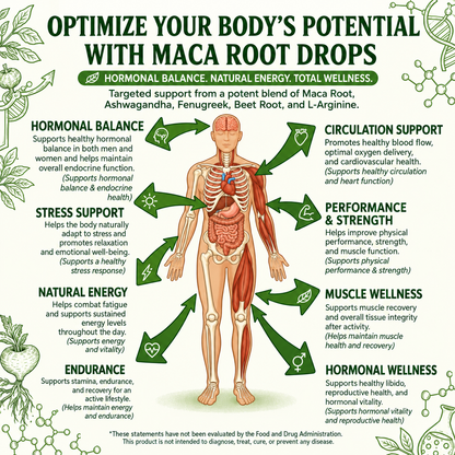 Maca Root - Hormonal Support